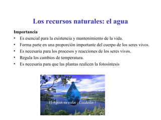 Los recursos naturales: el agua
Importancia
• Es esencial para la existencia y mantenimiento de la vida.
• Forma parte en una proporción importante del cuerpo de los seres vivos.
• Es necesaria para los procesos y reacciones de los seres vivos.
• Regula los cambios de temperatura.
• Es necesaria para que las plantas realicen la fotosíntesis
 