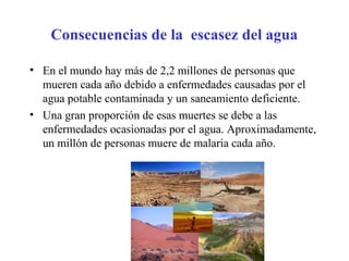 Consecuencias de la escasez del agua
• En el mundo hay más de 2,2 millones de personas que
mueren cada año debido a enfermedades causadas por el
agua potable contaminada y un saneamiento deficiente.
• Una gran proporción de esas muertes se debe a las
enfermedades ocasionadas por el agua. Aproximadamente,
un millón de personas muere de malaria cada año.
 