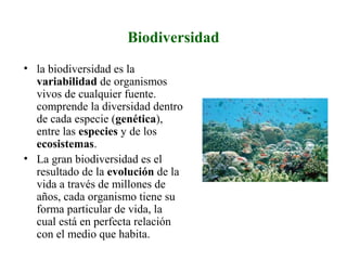 Biodiversidad
• la biodiversidad es la
variabilidad de organismos
vivos de cualquier fuente.
comprende la diversidad dentro
de cada especie (genética),
entre las especies y de los
ecosistemas.
• La gran biodiversidad es el
resultado de la evolución de la
vida a través de millones de
años, cada organismo tiene su
forma particular de vida, la
cual está en perfecta relación
con el medio que habita.
 