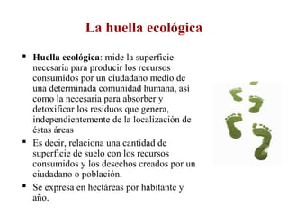 La huella ecológica
 Huella ecológica: mide la superficie
necesaria para producir los recursos
consumidos por un ciudadano medio de
una determinada comunidad humana, así
como la necesaria para absorber y
detoxificar los residuos que genera,
independientemente de la localización de
éstas áreas
 Es decir, relaciona una cantidad de
superficie de suelo con los recursos
consumidos y los desechos creados por un
ciudadano o población.
 Se expresa en hectáreas por habitante y
año.
 