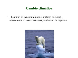 Cambio climático
• El cambio en las condiciones climáticas originará
alteraciones en los ecosistemas y extinción de especies.
 