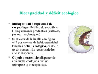 Biocapacidad y déficit ecológico
 Biocapacidad o capacidad de
carga: disponibilidad de superficie
biológicamente productiva (cultivos,
pastos, mar, bosques)
 Si el valor de la huella ecológica
está por encima de la biocapacidad
tenemos déficit ecológico, es decir,
se consumen más recursos de los
que se disponen.
 Objetivo sostenible: disponer de
una huella ecológica que no
sobrepase la biocapacidad.
 