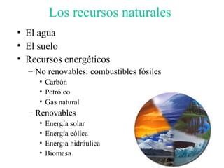 Los recursos naturales
• El agua
• El suelo
• Recursos energéticos
– No renovables: combustibles fósiles
• Carbón
• Petróleo
• Gas natural
– Renovables
• Energía solar
• Energía eólica
• Energía hidráulica
• Biomasa
 