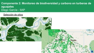 Selección de sitios
Componente 2: Monitoreo de biodiversidad y carbono en turberas de
aguajales
Diego García - IIAP
 