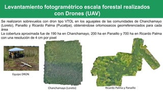 Levantamiento fotogramétrico escala forestal realizados
con Drones (UAV)
Se realizaron sobrevuelos con dron tipo VTOL en los aguajales de las comunidades de Chanchamayo
(Loreto), Panaillo y Ricardo Palma (Pucallpa), obteniéndose ortomosaicos georreferenciados para cada
área
La cobertura aproximada fue de 190 ha en Chanchamayo, 200 ha en Panaillo y 700 ha en Ricardo Palma
con una resolución de 4 cm por pixel
Chanchamayo (Loreto) Ricardo Palma y Panaillo
Equipo DRON
 