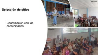 Selección de sitios
Coordinación con las
comunidades Ucayali
Marañón
Marañón
 