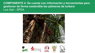 COMPONENTE 4: Se cuenta con información y herramientas para
gestionar de forma sostenible las palmeras de turbera
Luis Sari - SPDA
 