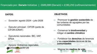 DATOS:
→ Duración: agosto 2024 – julio 2028
→ Ejecutor principal : CIFOR (parte de
CIFOR-ICRAF)
→ Ejecutores nacionales: IBC, IIAP,
SPDA
→ Apoyos: Gobiernos regionales,
SERNANP, SERFOR
Financiado por: Darwin Initiative | £600,000 (Darwin) + £190,293 (cofinanciamiento)
OBJETIVOS:
→ Promover la gestión sostenible de
las turberas de aguajales por las
comunidades
→ Conservar la biodiversidad y
mitigar el cambio climático
→ Fortalecer los derechos de tenencia
y las capacidades técnicas de las
comunidades
→ Mejorar los medios de vida
 
