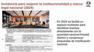 Incidencia para mejorar la institucionalidad y marco
legal nacional (2024)
- En 2024 se facilitó un
espacio multiactor para
identificar brechas
directamente con la
autoridad nacional forestal
(Serfor) y consensuar
propuestas de modificación
nacional
 