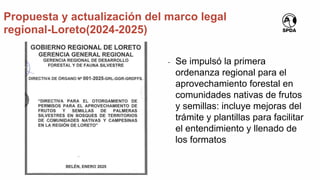 Propuesta y actualización del marco legal
regional-Loreto(2024-2025)
- Se impulsó la primera
ordenanza regional para el
aprovechamiento forestal en
comunidades nativas de frutos
y semillas: incluye mejoras del
trámite y plantillas para facilitar
el entendimiento y llenado de
los formatos
 