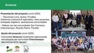 Presentación del proyecto (Junio 2025)
- Reuniones Lima, Iquitos, Pucallpa
Gobiernos (nacional & regionales), otros proyectos,
embajada Inglaterra, asociaciones comunidades
- Talleres con las comunidades San Fransisco,
Chanchamayo, Ricardo Palma, Panaillo
Avances
Ajuste del proyecto (Junio 2025)
Comunidad Veracruz inicialmente seleccionada
reemplazada por comunidad Chanchamayo
(aprovechamiento aguaje)
 
