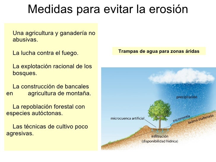 Resultado de imagen para RECOMENDACIONES PARA evitar la erosion de LOS SUELOS