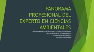 PANORAMA
PROFESIONAL DEL
EXPERTO EN CIENCIAS
AMBIENTALES
UNIVERSIDAD MARIANO GALVEZ DE GUATEMALA, EXTENSIÓN QUETZALTENANGO
MAESTRÍA EN EVALUACIÓN Y CONTROL AMBIENTAL
CONTROL Y MONITOREO AMBIENTAL
PERLA MARIA RIVERA MIRANDA
 