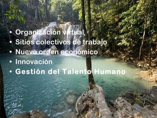 Organización virtual Sitios colectivos de trabajo Nuevo orden económico Innovación Gestión del Talento Humano 