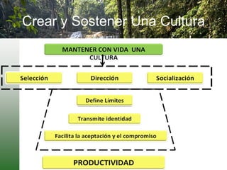 Crear y Sostener Una Cultura 