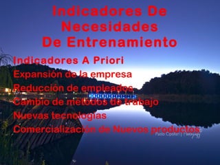 Indicadores De Necesidades De Entrenamiento Indicadores A Priori Expansión de la empresa Reducción de empleados Cambio de métodos de trabajo Nuevas tecnologías Comercialización de Nuevos productos 