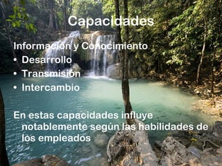 Capacidades Información y Conocimiento Desarrollo Transmisión Intercambio En estas capacidades influye notablemente según las habilidades de los empleados 