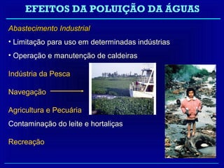 EFEITOS DA POLUIÇÃO DA ÁGUAS
Abastecimento Industrial
• Limitação para uso em determinadas indústrias
• Operação e manutenção de caldeiras

Indústria da Pesca

Navegação

Agricultura e Pecuária
Contaminação do leite e hortaliças

Recreação
 
