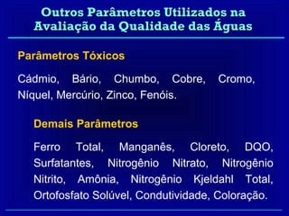 Outros Parâmetros Utilizados na
  Avaliação da Qualidade das Águas

Parâmetros Tóxicos

Cádmio, Bário, Chumbo, Cobre,        Cromo,
Níquel, Mercúrio, Zinco, Fenóis.

  Demais Parâmetros

  Ferro Total, Manganês, Cloreto, DQO,
  Surfatantes, Nitrogênio Nitrato, Nitrogênio
  Nitrito, Amônia, Nitrogênio Kjeldahl Total,
  Ortofosfato Solúvel, Condutividade, Coloração.
 