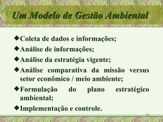 Um Modelo de Gestão Ambiental Coleta de dados e informações; Análise de informações; Análise da estratégia vigente; Análise comparativa da missão versus setor econômico / meio ambiente; Formulação do plano estratégico ambiental;  Implementação e controle. 