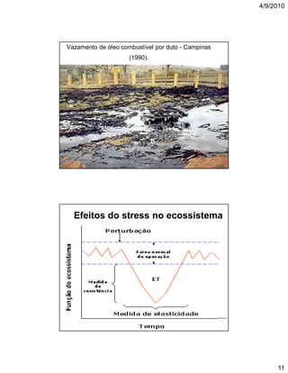 4/9/2010

Vazamento de óleo combustível por duto - Campinas
(1990).

Efeitos do stress no ecossistema

11

 