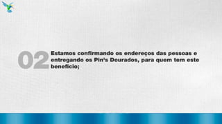 Gestão Mister Colibri 2013 [Oficial]