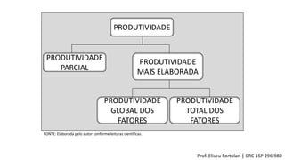 PRODUTIVIDADE
PRODUTIVIDADE
PARCIAL
PRODUTIVIDADE
MAIS ELABORADA
PRODUTIVIDADE
TOTAL DOS
FATORES
PRODUTIVIDADE
GLOBAL DOS
FATORES
FONTE: Elaborada pelo autor conforme leituras científicas.
Prof. Eliseu Fortolan │ CRC 1SP 296.980
 