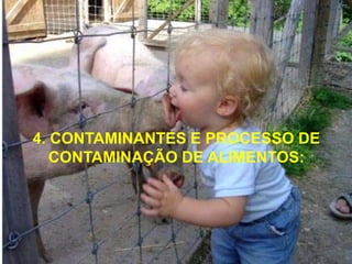 De causas de defeitosSujidadesCortesPeso não conforme