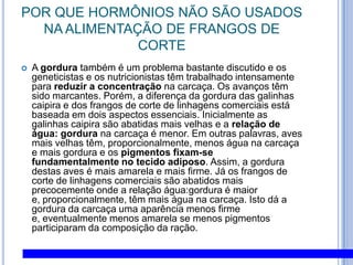 POR QUE HORMÔNIOS NÃO SÃO USADOS NA ALIMENTAÇÃO DE FRANGOS DE CORTEA gordura também é um problema bastante discutido e os geneticistas e os nutricionistas têm trabalhado intensamente para reduzir a concentração na carcaça. Os avanços têm sido marcantes. Porém, a diferença da gordura das galinhas caipira e dos frangos de corte de linhagens comerciais está baseada em dois aspectos essenciais. Inicialmente as galinhas caipira são abatidas mais velhas e a relação de água: gordura na carcaça é menor. Em outras palavras, aves mais velhas têm, proporcionalmente, menos água na carcaça e mais gordura e os pigmentos fixam-se fundamentalmente no tecido adiposo. Assim, a gordura destas aves é mais amarela e mais firme. Já os frangos de corte de linhagens comerciais são abatidos mais precocemente onde a relação água:gordura é maior e, proporcionalmente, têm mais água na carcaça. Isto dá a gordura da carcaça uma aparência menos firme e, eventualmente menos amarela se menos pigmentos participaram da composição da ração.