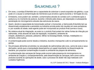 Salmonelas ?Em aves, o sorotipo Enteritidis tem a capacidade de colonizar o canal ovopositor da galinha, o que pode vir a causar a contaminação da membrana que envolve a gema durante a  formação do ovo. Entretanto, ovos podem ser, também, contaminados através do contato com o ambiente após a postura ou no momento da postura, durante o trânsito pela cloaca, por deposição e subseqüente penetração do microrganismo através das estruturas da casca.Assim, devido à capacidade de transmissão vertical  e horizontal, a SalmonellaEnteritidistem se disseminado amplamente e persistido na indústria avícola pode ndo resultar em aves portadoras e, por ocasião do abate, esse agente pode ser incorporado ao produto final (carnes e ovos).No sistema atual de integração, as aves ou o produto final podem ter várias fontes de infecção por salmonela, vindo através de aves de reposição, incubatório, ambiente de criação, abatedouro, pessoas, pássaros, falhas na biosseguridade, manejo, instalações e o alimento, entre outros. A contaminação pode ocorrer desde a indústria, durante o transporte e até no armazenamento na granja.Os principais alimentos envolvidos na veiculação de salmonelose são ovos, carne de aves e seus derivados, sendo que a manipulação desempenha um papel importante na disseminação da bactéria, por propiciar contaminação cruzada no ambiente de preparo de alimentos.A contaminação das carcaças de frango pode ocorrer pela presença do microrganismo no ambiente de criação e, conseqüentemente, pela disseminação às carcaças, bem como outros produtos durante as operações de abate, caso o processo de abate não seja realizado com cuidados higiênicos.A.L.S.P. Cardoso & E.N.C.Tessari – Instituto Biológico
