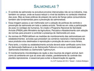 Salmonelas ?O controle da salmonela na avicultura envolve intervenções não só na indústria, mas também no campo, onde se busca reduzir o nível da bactéria no conteúdo intestinal das aves. Mas as boas práticas de preparo da carne de frango pelos consumidores também são fundamentais para a prevenção da salmonelose. Essa imagem passou a ser melhorada com a adoção de políticas de controle e prevenção da salmonela em toda a cadeia avícola. Tendo-se em vista a participação de aves no contágio de humanos, foi criado o Programa Nacional de Sanidade Avícola (PNSA) pelo Ministério da Agricultura, Pecuária e Abastecimento com adoção de normas para prevenir e controlar a presença de Salmonella em aves.As normas do PNSA definem as medidas de monitoramento das salmoneloses em estabelecimentos  avícolas que procedam ao comércio nacional e internacional de seus produtos e/ou destinados à reprodução e produção de aves e ovos férteis. Para tanto, o núcleo ou estabelecimento avícola deverá estar certificado como livre de SalmonellaGallinarum e de SalmonellaPullorum e livre ou controlado para SalmonellaEnteritidis ou SalmonellaTyphimurium.O monitoramento microbiológico da ração e dos insumos de origem animal, bem como do ambiente em que as aves são criadas, paralelamente do controle dos plantéis reprodutores  é essencial para evitar e disseminação do agente.A.L.S.P. Cardoso & E.N.C.Tessari – Instituto Biológico