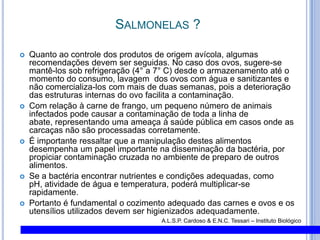 Salmonelas ?Quanto ao controle dos produtos de origem avícola, algumas recomendações devem ser seguidas. No caso dos ovos, sugere-se mantê-los sob refrigeração (4° a 7° C) desde o armazenamento até o momento do consumo, lavagem  dos ovos com água e sanitizantes e não comercializa-los com mais de duas semanas, pois a deterioração das estruturas internas do ovo facilita a contaminação. Com relação à carne de frango, um pequeno número de animais infectados pode causar a contaminação de toda a linha de abate, representando uma ameaça à saúde pública em casos onde as carcaças não são processadas corretamente. É importante ressaltar que a manipulação destes alimentos desempenha um papel importante na disseminação da bactéria, por propiciar contaminação cruzada no ambiente de preparo de outros alimentos. Se a bactéria encontrar nutrientes e condições adequadas, como pH, atividade de água e temperatura, poderá multiplicar-se rapidamente.Portanto é fundamental o cozimento adequado das carnes e ovos e os utensílios utilizados devem ser higienizados adequadamente.A.L.S.P. Cardoso & E.N.C.Tessari – Instituto Biológico