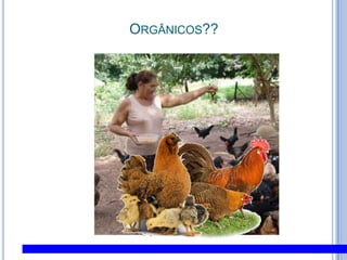 Orgânicos??