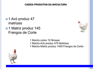 1 Avó produz 47 matrizes1 Matriz produz 145 Frangos de Corte49CADEIA PRODUTIVA DA AVICULTURA1 Macho cobre 10 fêmeas1 Macho Avô produz 470 Matrizes1 Macho Matriz produz 1450 Frangos de Corte 