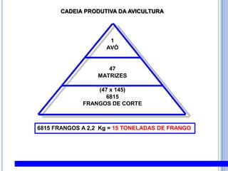 CADEIA PRODUTIVA DA AVICULTURA6815 FRANGOS A 2,2  Kg = 15 TONELADAS DE FRANGO