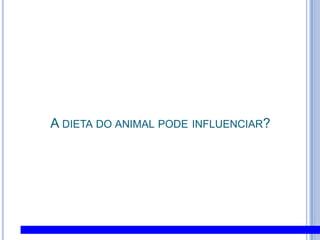 A dieta do animal pode influenciar?