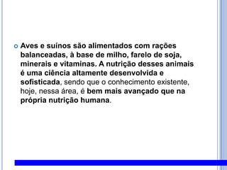 Aves e suínos são alimentados com rações balanceadas, à base de milho, farelo de soja, minerais e vitaminas. A nutrição desses animais é uma ciência altamente desenvolvida e sofisticada, sendo que o conhecimento existente, hoje, nessa área, é bem mais avançado que na própria nutrição humana.