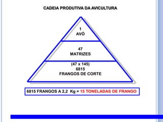 CADEIA PRODUTIVA DA AVICULTURA,[object Object],6815 FRANGOS A 2,2  Kg = 15 TONELADAS DE FRANGO,[object Object]