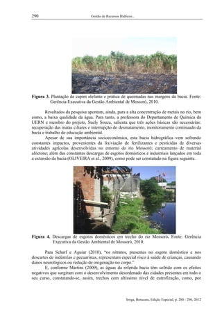 290

Gestão de Recursos Hídricos...

Figura 3. Plantação de capim elefante e prática de queimadas nas margens da bacia. Fonte:
Gerência Executiva da Gestão Ambiental de Mossoró, 2010.
Resultados da pesquisa apontam, ainda, para a alta concentração de metais no rio, bem
como, a baixa qualidade da água. Para tanto, a professora do Departamento de Química da
UERN e membro do projeto, Suely Souza, salienta que três ações básicas são necessárias:
recuperação das matas ciliares e interrupção do desmatamento, monitoramento continuado da
bacia e trabalho de educação ambiental.
Apesar de sua importância socioeconômica, esta bacia hidrográfica vem sofrendo
constantes impactos, provenientes da lixiviação de fertilizantes e pesticidas de diversas
atividades agrícolas desenvolvidas no entorno do rio Mossoró; carreamento de material
alóctone; além das constantes descargas de esgotos domésticos e industriais lançados em toda
a extensão da bacia (OLIVEIRA et al., 2009), como pode ser constatado na figura seguinte.

Figura 4. Descargas de esgotos domésticos em trecho do rio Mossoró. Fonte: Gerência
Executiva da Gestão Ambiental de Mossoró, 2010.
Para Scharf e Aguiar (2010), “os nitratos, presentes no esgoto doméstico e nos
descartes de indústrias e pecuaristas, representam especial risco à saúde de crianças, causando
danos neurológicos ou redução de oxigenação no corpo.”
E, conforme Martins (2009), as águas da referida bacia têm sofrido com os efeitos
negativos que surgiram com o desenvolvimento desordenado das cidades presentes em todo o
seu curso, constatando-se, assim, trechos com altíssimo nível de eutrofização, como, por

Irriga, Botucatu, Edição Especial, p. 280 - 296, 2012

 
