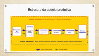 Estrutura da cadeia produtiva
 