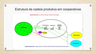 Estrutura da cadeia produtiva em cooperativas
 