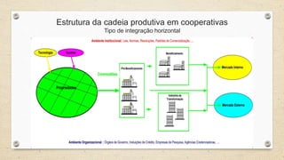 Estrutura da cadeia produtiva em cooperativas
Tipo de integração horizontal
 