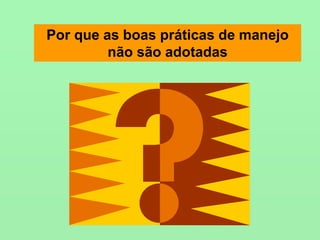 Por que as boas práticas de manejo
não são adotadas
 