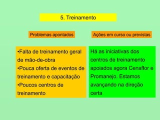 5. Treinamento
•Falta de treinamento geral
de mão-de-obra
•Pouca oferta de eventos de
treinamento e capacitação
•Poucos centros de
treinamento
Há as iniciativas dos
centros de treinamento
apoiados agora Cenaflor e
Promanejo. Estamos
avançando na direção
certa
Problemas apontados Ações em curso ou previstas
 
