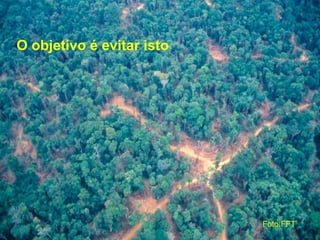 O objetivo é evitar isto
Foto:FFT
 