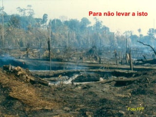 Para não levar a isto
Foto:FFT
 