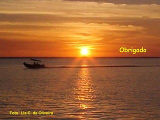 Obrigado
Foto: Lia C. de Oliveira
 