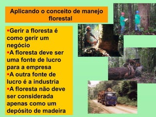 Aplicando o conceito de manejo
florestal
Gerir a floresta é
como gerir um
negócio
A floresta deve ser
uma fonte de lucro
para a empresa
A outra fonte de
lucro é a industria
A floresta não deve
ser considerada
apenas como um
depósito de madeira
 