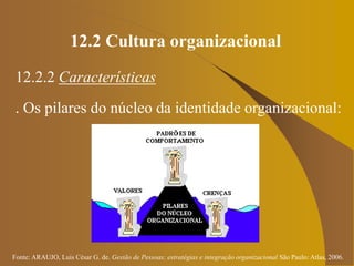Fonte: ARAUJO, Luis César G. de. Gestão de Pessoas; estratégias e integração organizacional São Paulo: Atlas, 2006.
12.2 Cultura organizacional
12.2.2 Características
. Os pilares do núcleo da identidade organizacional:
 