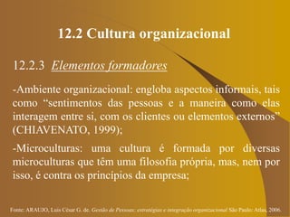 Fonte: ARAUJO, Luis César G. de. Gestão de Pessoas; estratégias e integração organizacional São Paulo: Atlas, 2006.
12.2 Cultura organizacional
12.2.3 Elementos formadores
-Ambiente organizacional: engloba aspectos informais, tais
como “sentimentos das pessoas e a maneira como elas
interagem entre si, com os clientes ou elementos externos”
(CHIAVENATO, 1999);
-Microculturas: uma cultura é formada por diversas
microculturas que têm uma filosofia própria, mas, nem por
isso, é contra os princípios da empresa;
 